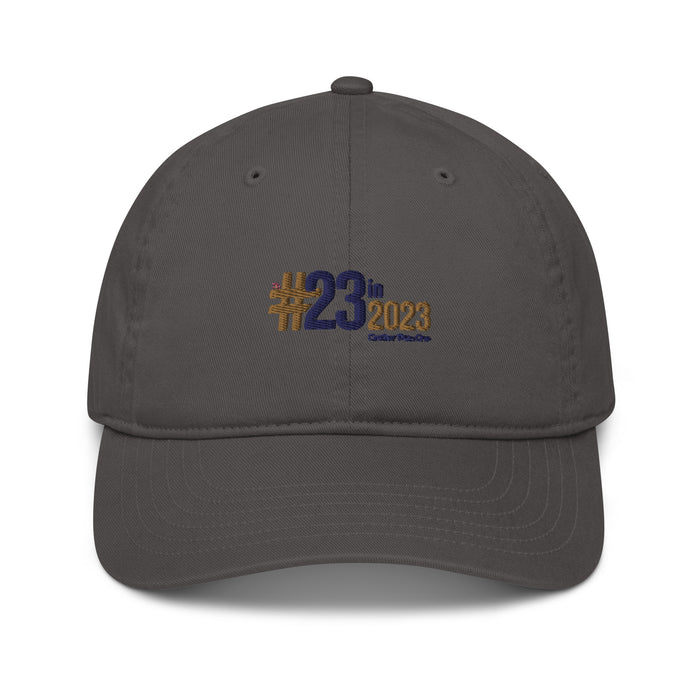 Greater Than One 23 Year Anniversary Organic Dad Hat